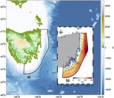 An eddy pathway to marine heatwave predictability off eastern Tasmania